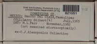 Image Associated With the Occurence